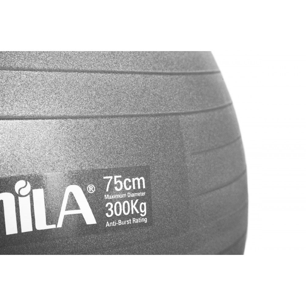 Μπάλα γυμναστικής AMILA GYMBALL 75cm Γκρι